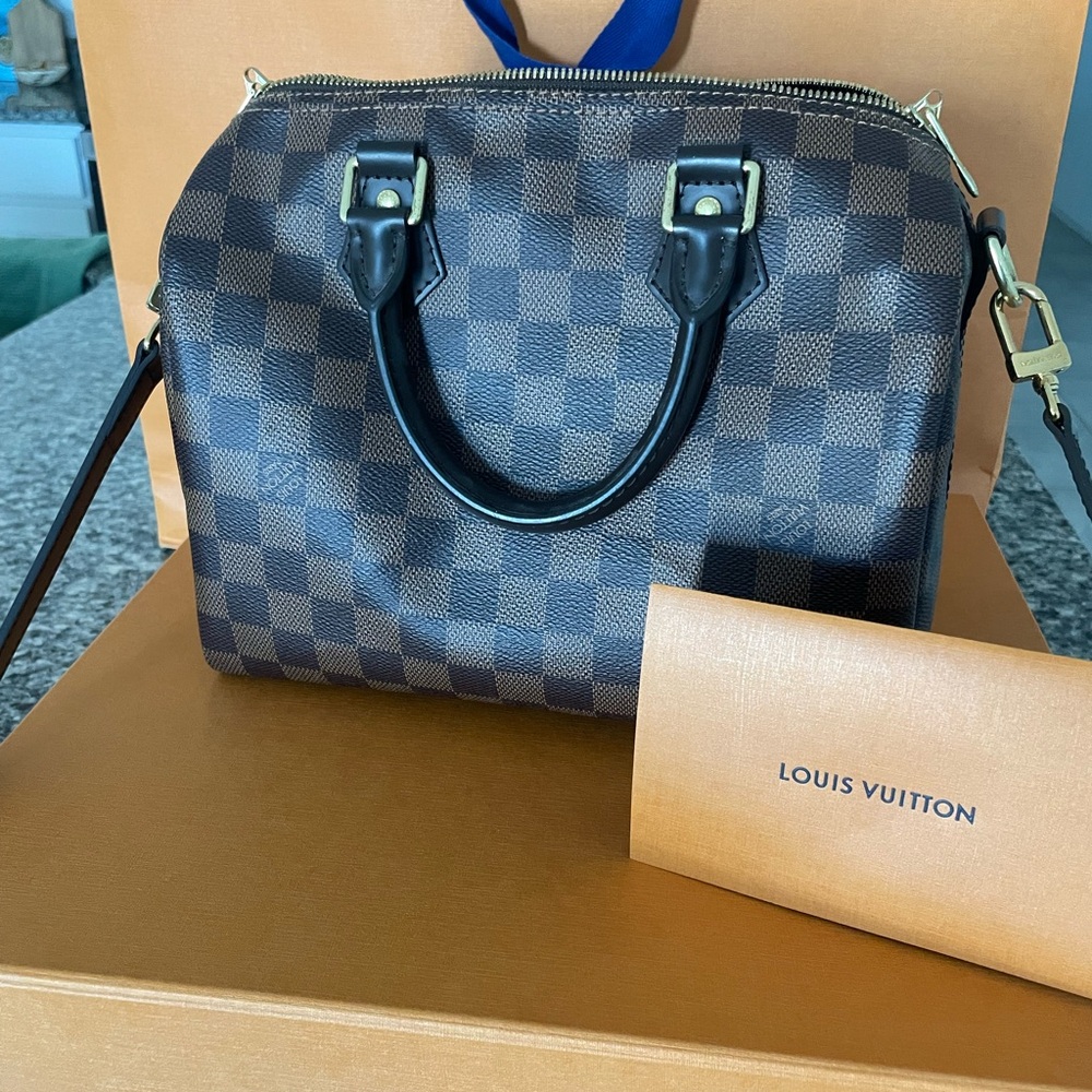 Louis Vuitton Damier Ebene Handbag